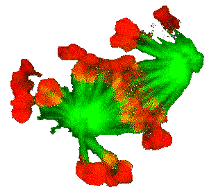 Image courtesy of Tom Maresca/Journal of Cell Biology/Sati
